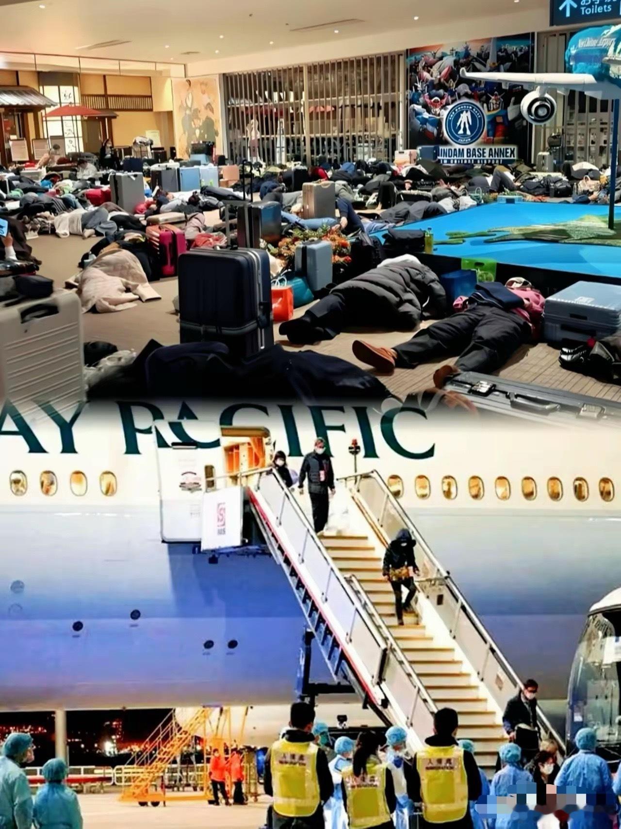 联系大使馆必须派飞机！看视频里那几位在北海道机场大喊大叫的架势，还以为是哪国政要