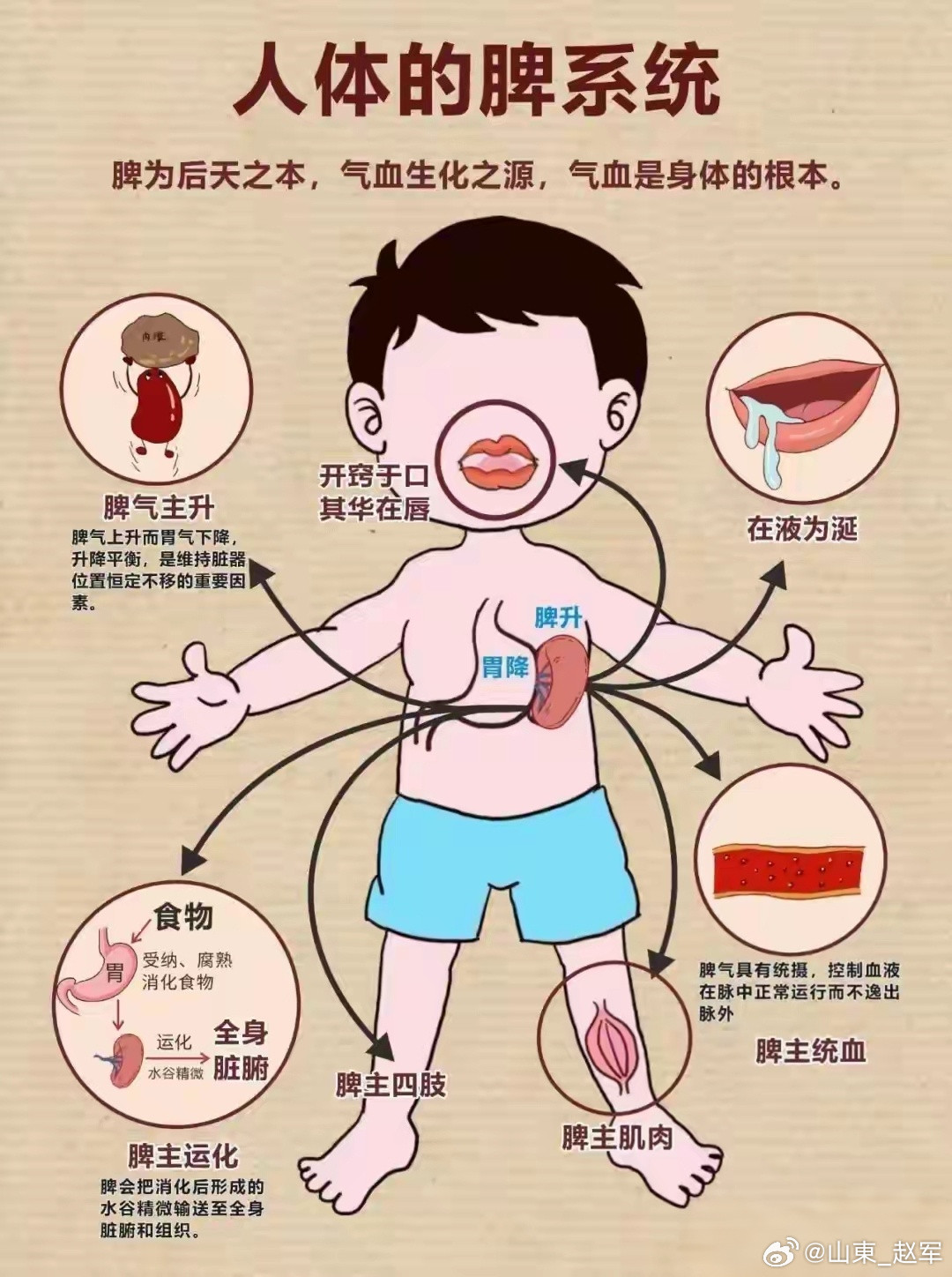 便秘有三种，一种是增液汤型，一种是黄芪汤型，一种是温脾汤增液汤、黄芪汤、温脾汤。