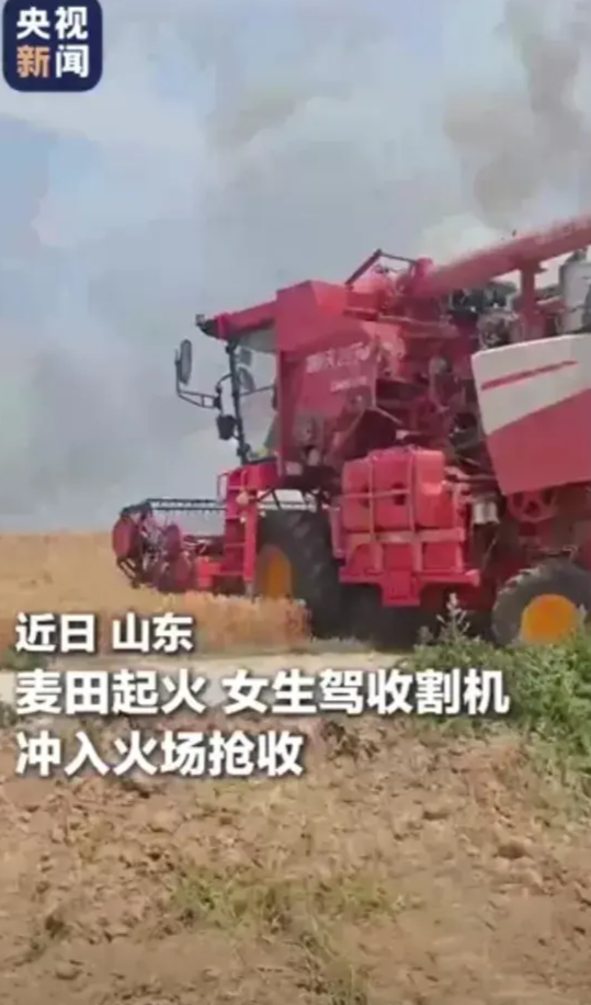近日，山东一处麦田起火，眼见自家辛辛苦苦种的小麦到收成的季节了，却因为一场大火即