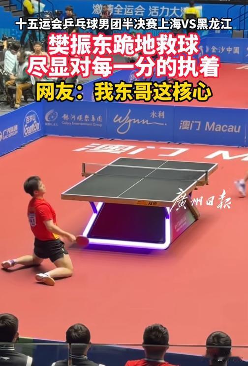 单膝跪地秒弹起！樊振东这一摔，摔出顶尖运动员的担当🔥全运会乒乓球赛场再掀高潮