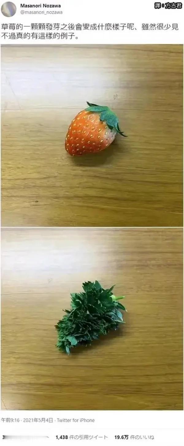 大开眼界梗图草莓长见识开眼界