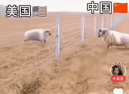 无意中刷到这个短视频。实在是忍不住，看一遍笑一遍，既简单却又登峰造极的视频。形象