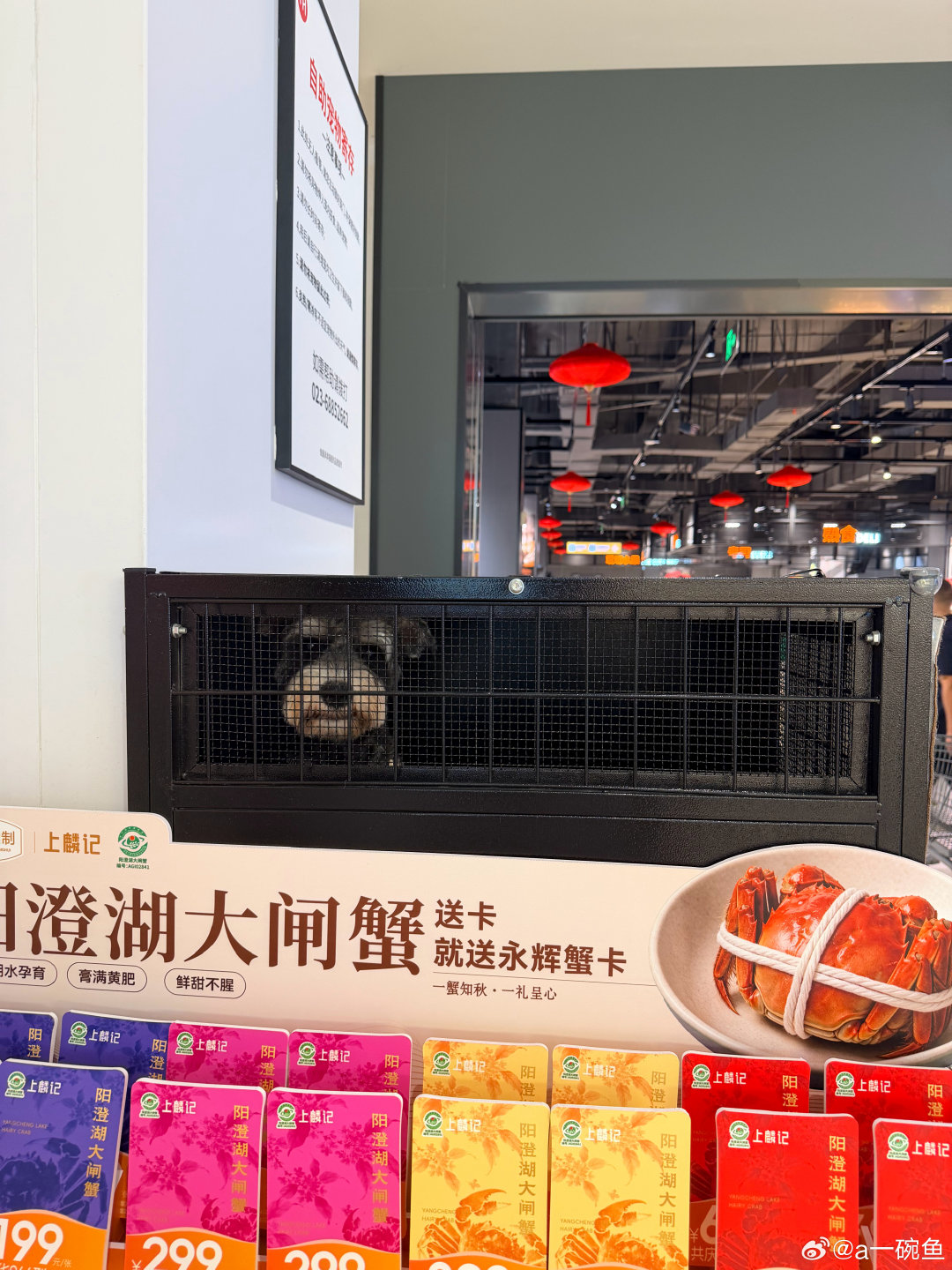 留守儿童不高兴​