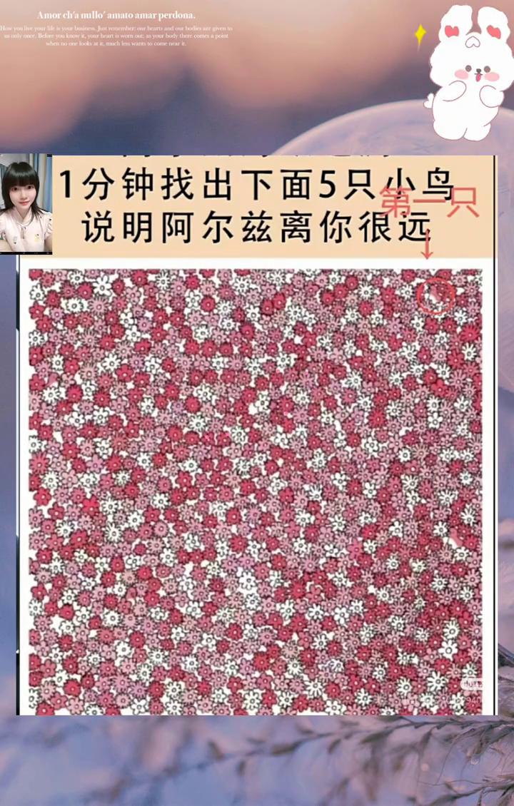 1分钟找出下面5只小鸟，说明阿尔兹离你很远。太难找了，我找了很久，很久都找不到