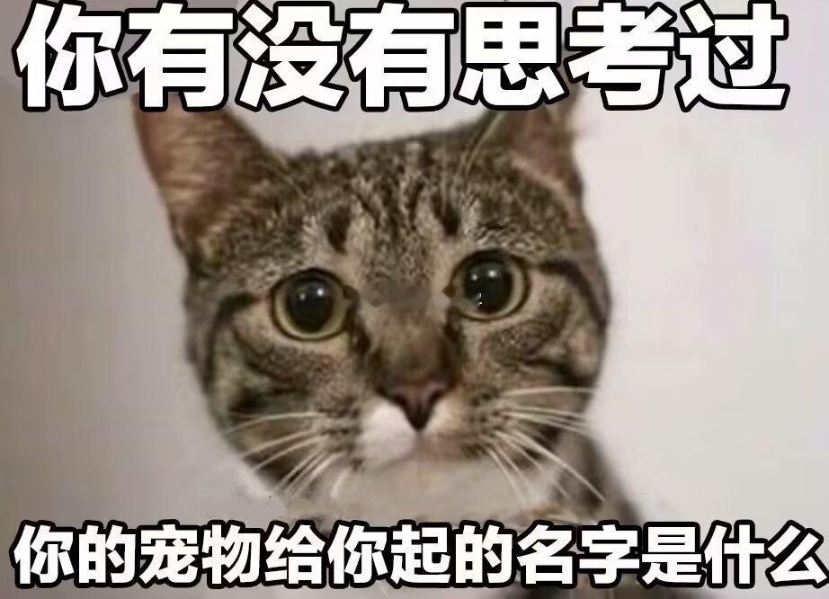 你有没有思考过，你的宠物给你起的名字是什么？​​​
