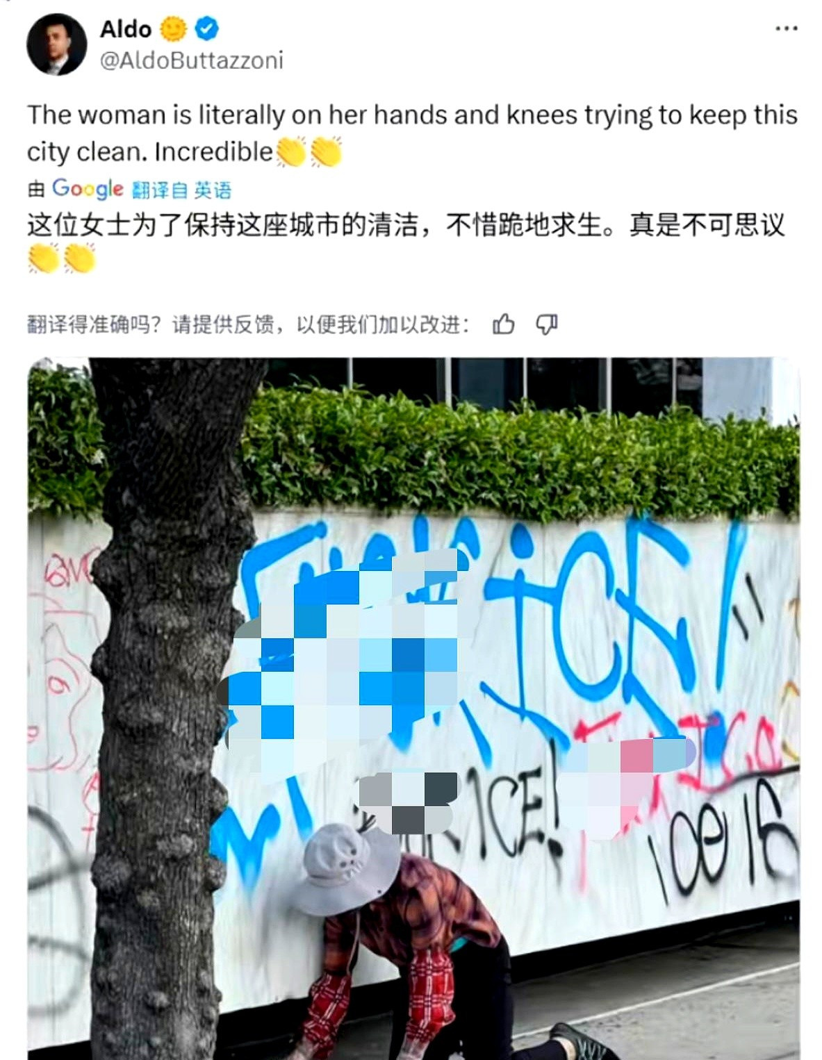 美国洛杉矶捡瓶子的中国大妈---