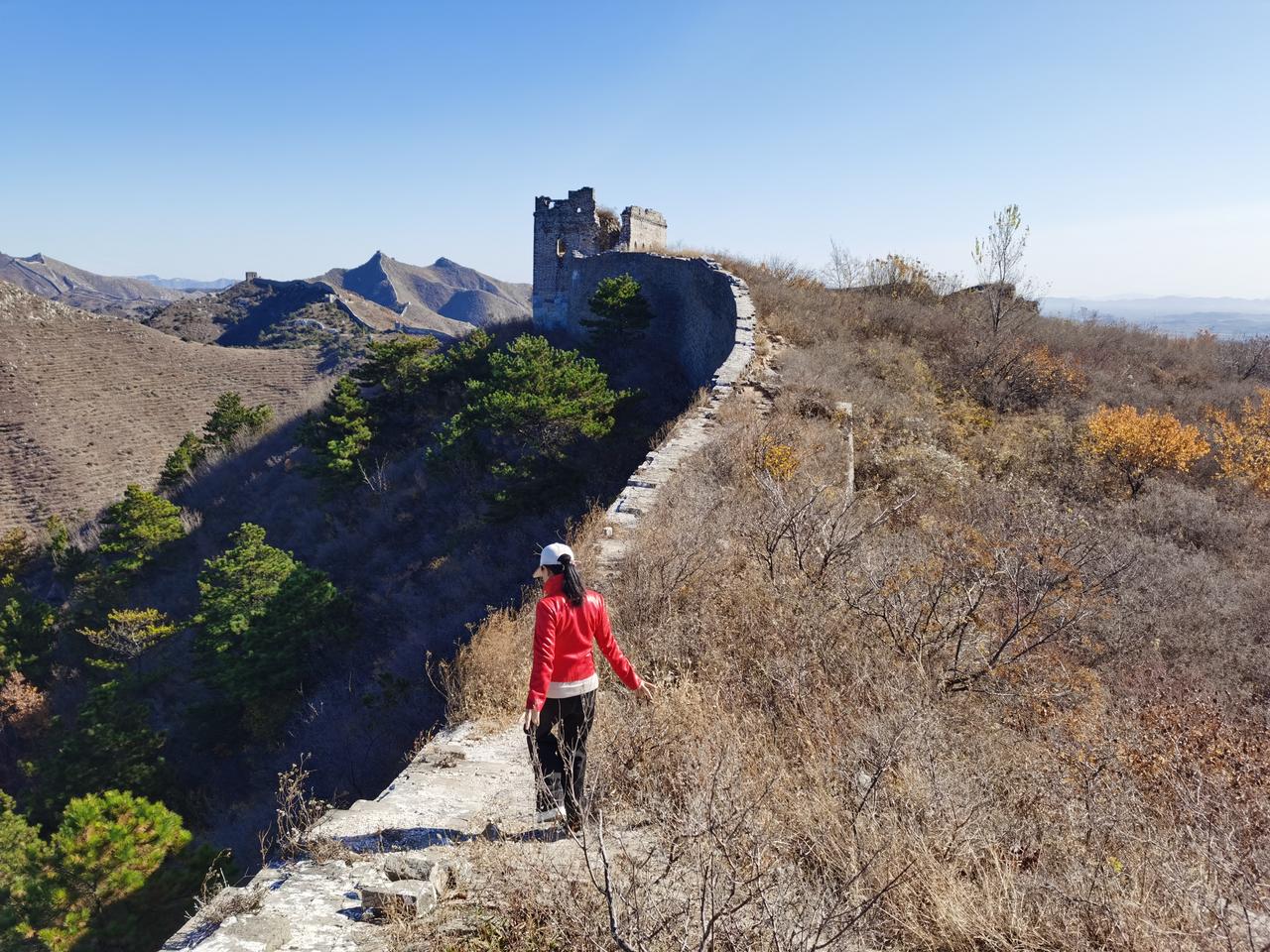 交易里最需要研究的事认真学习交易的技术，认真学习各路大神的自传和心得，认真在股