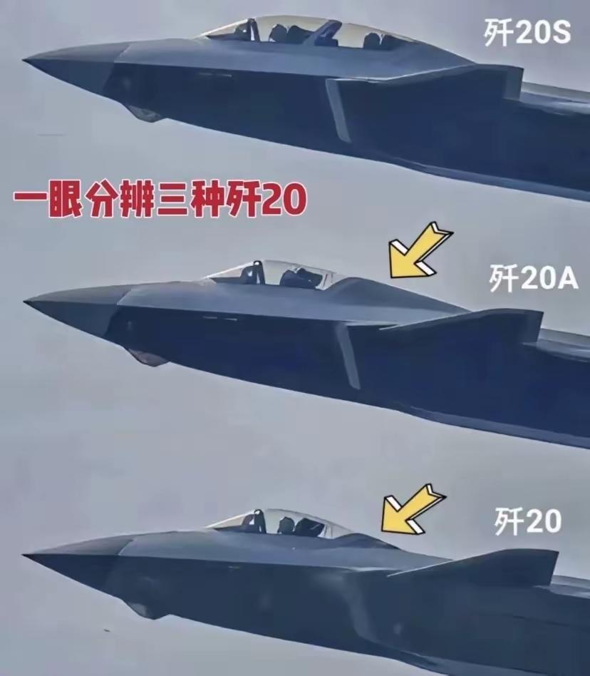 全球唯一一款具有多个改进型的重型隐身五代机。歼-20C歼20，歼20A，歼2