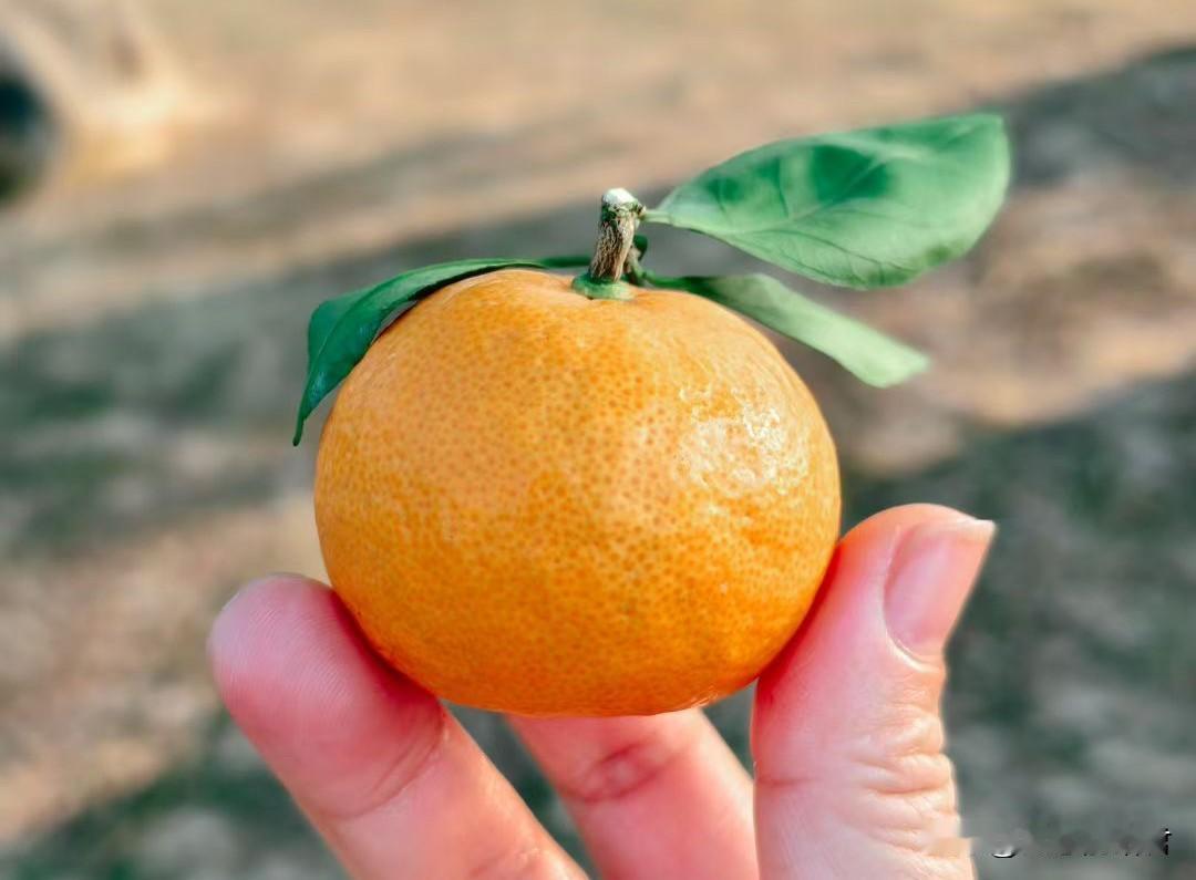 这么抠的男人真的只能配打光棍。一男子，和女朋友谈了4年，现在女朋友怀孕了，婚也订