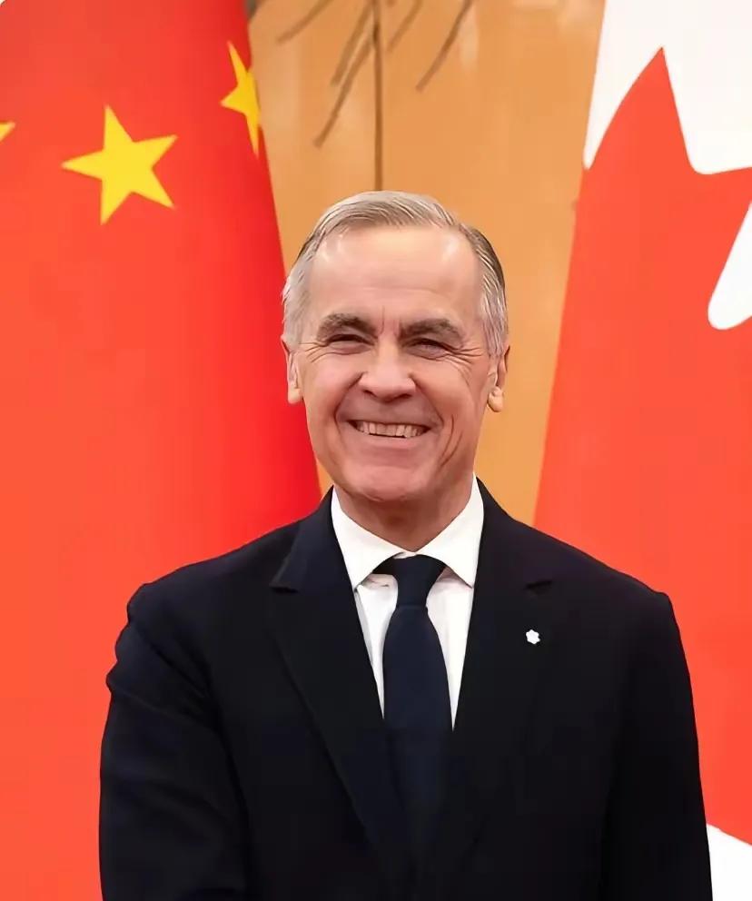 家人们快来看加拿大这波反复横跳的操作，简直像演喜剧！刚在2024年跟着美国对中国