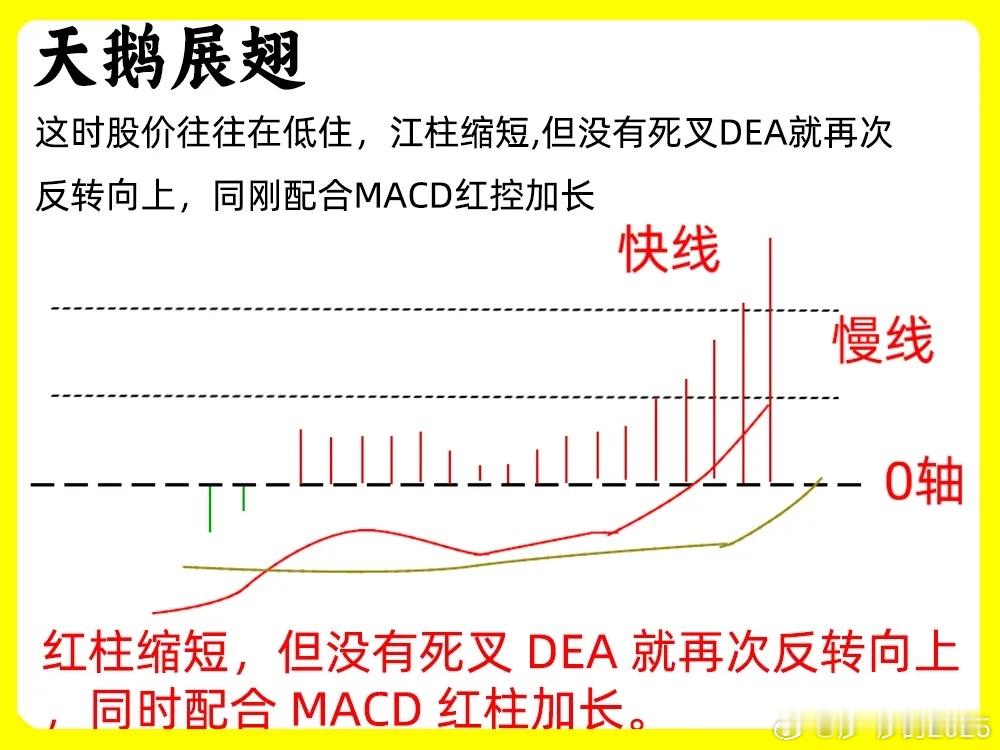 很多人看不懂MACD，现在莎莎用6张图教大家学习MACD！让大家少走一点弯路，建