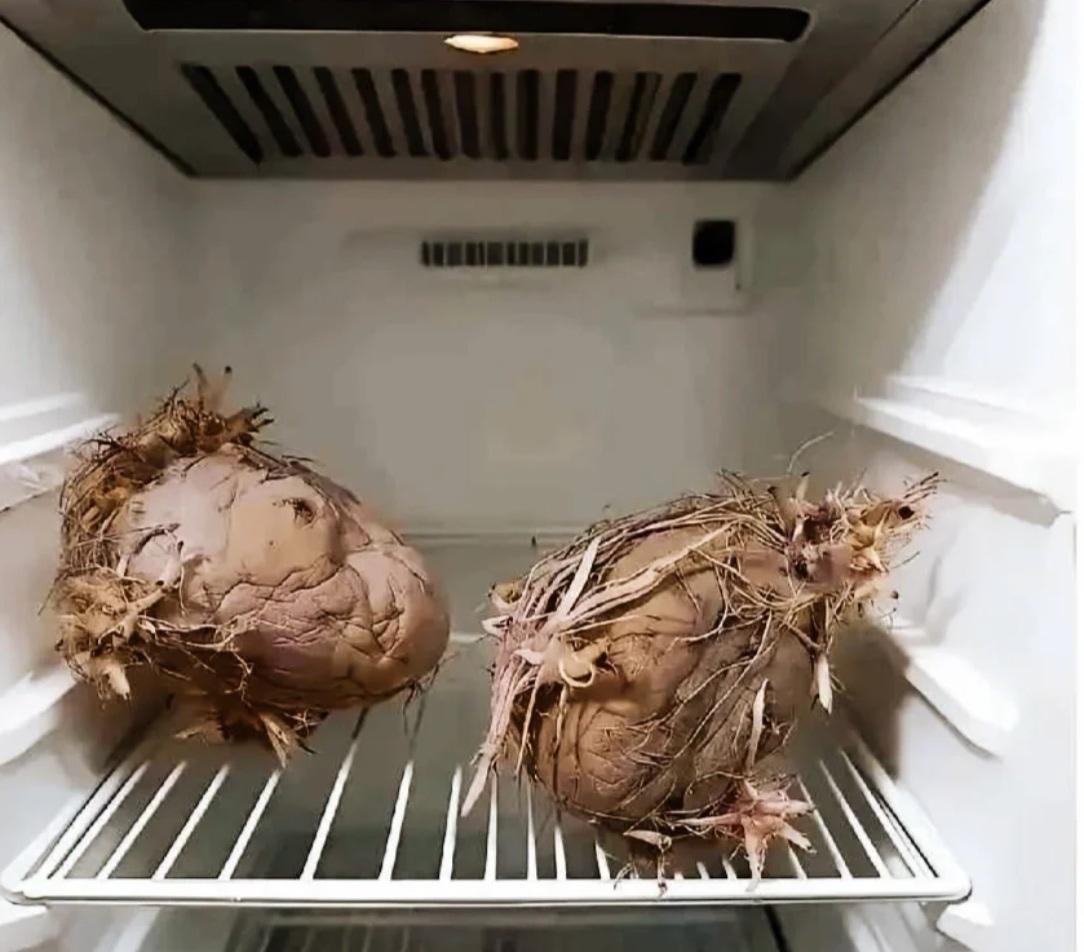 老公这是买的什么菜？