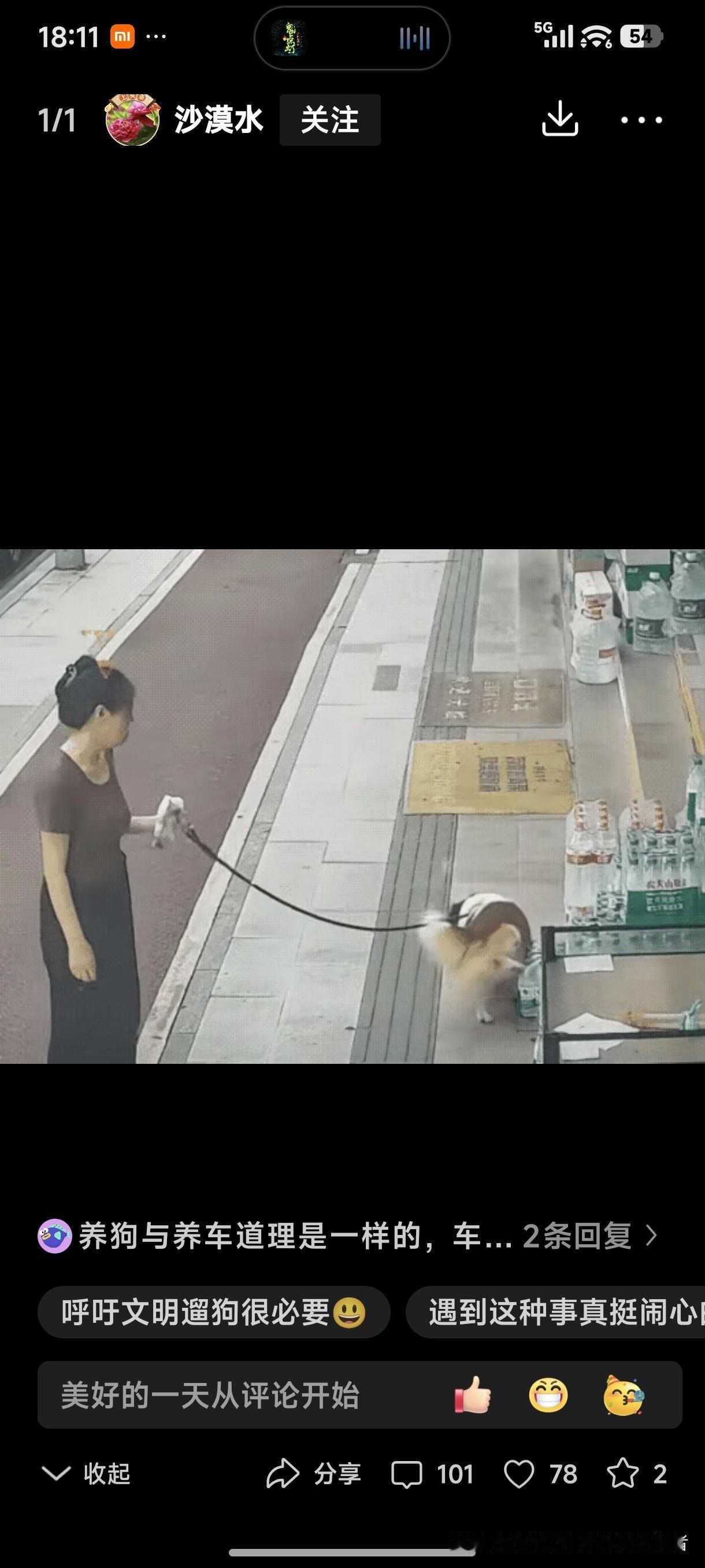 养狗人遛狗，要是说在不牵绳的情况下，狗跑到主人看不见的地方，狗跑到商店外面摆放的