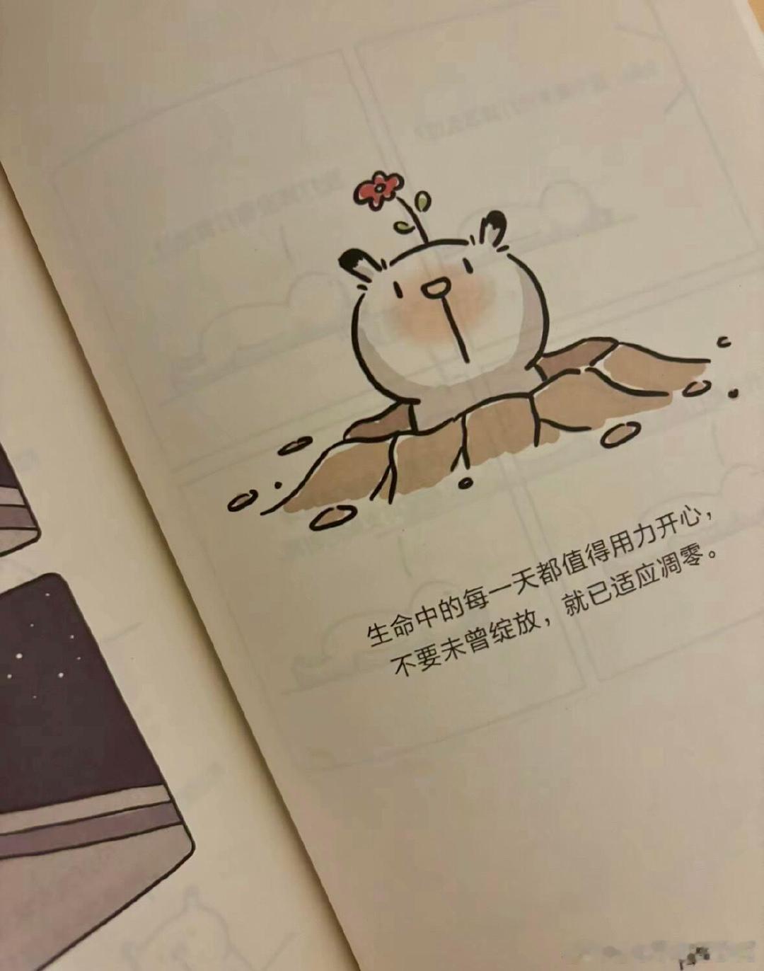 🐼五味杂陈​​​