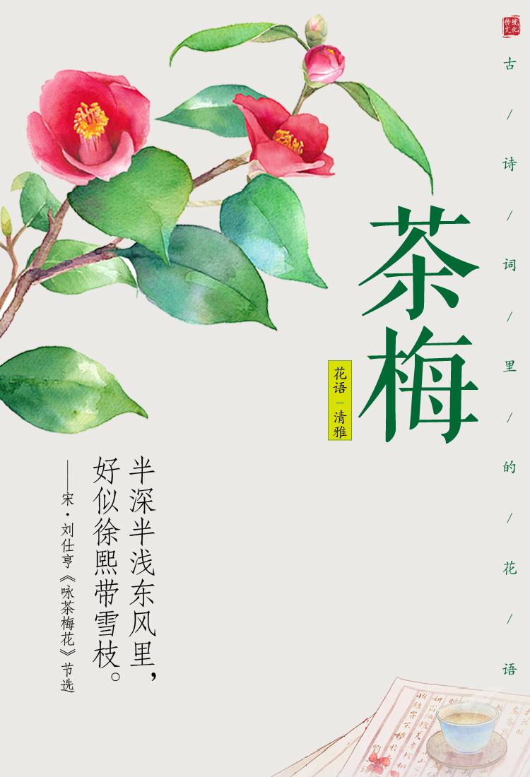 古诗词里的花语唯美古诗词唯美诗词花语诗词