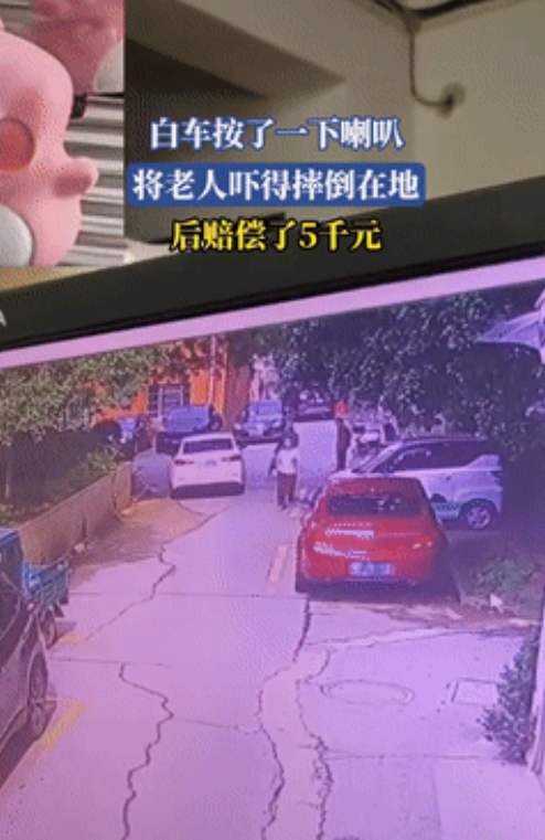 “吵翻了！”湖南一司机驾车经过窄路时，原本推着轮椅缓慢向前走的老人，突然要拐弯，