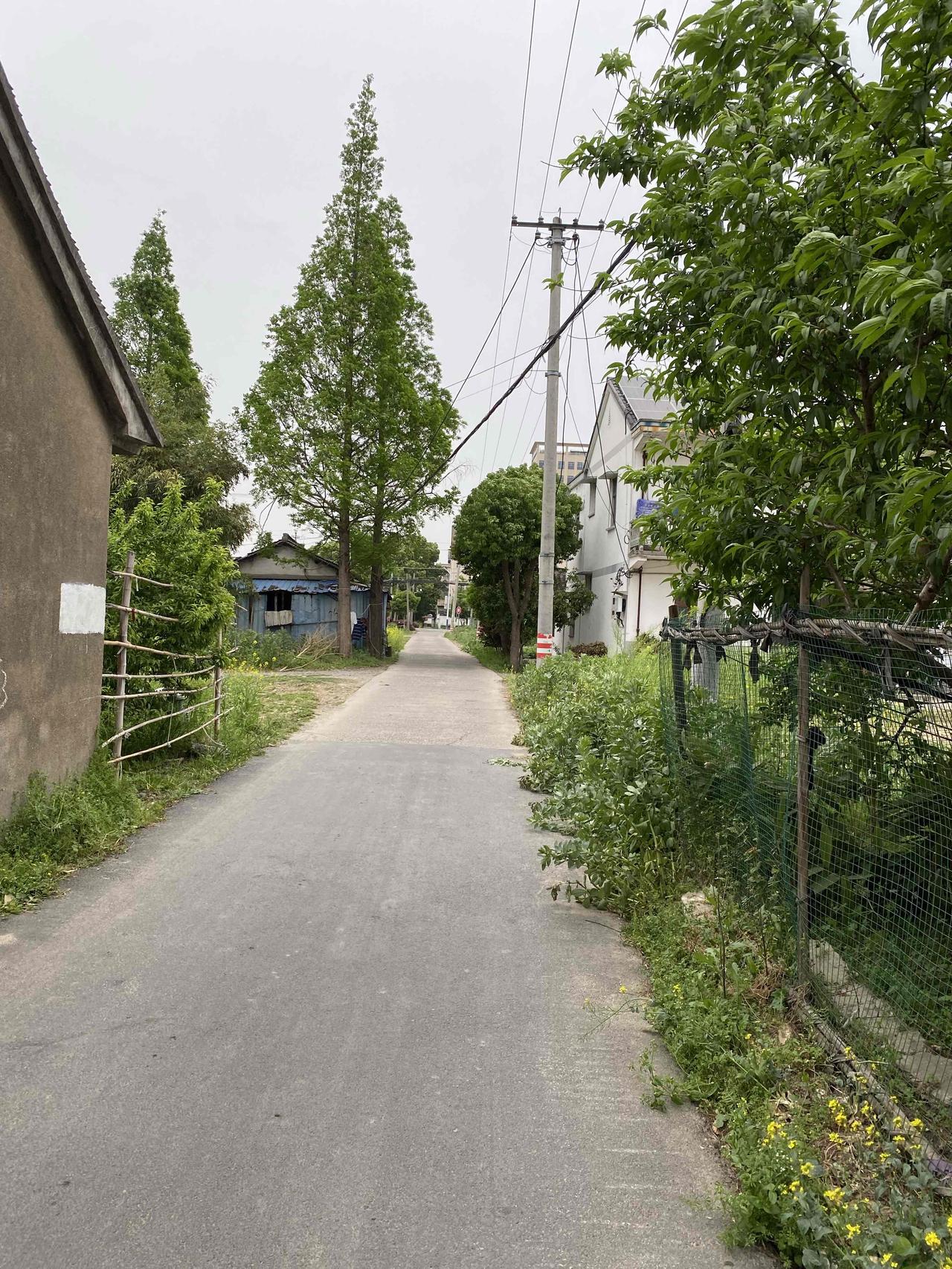 你敢不敢带孩子回娘家白吃白喝住一个月？三个月前，小姑姑突然对奶奶说她离婚了，