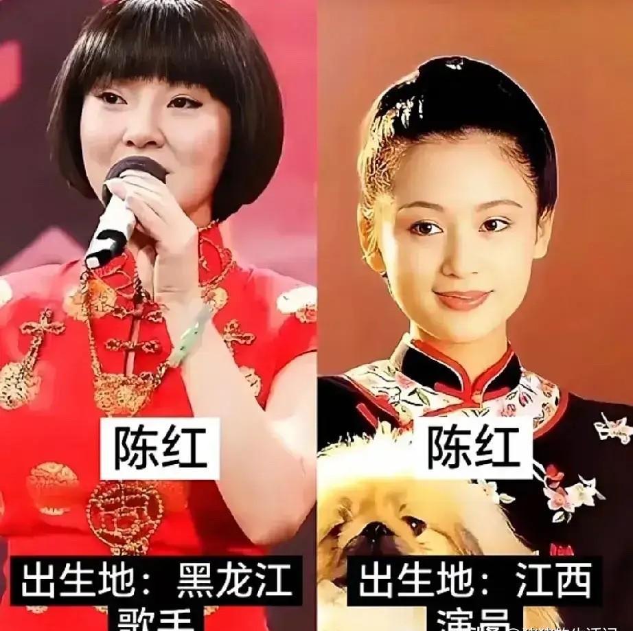 中秋夜。央视舞台聚光灯打下。她开口，唱《常回家看看》。混音版。身边是年轻