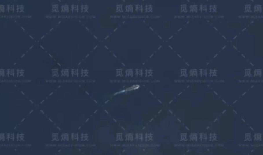 啪叽一下！龙哥摔出一张靓照，吓鹰酱一激灵夸张了吧？毫不夸张！不信？有图有真