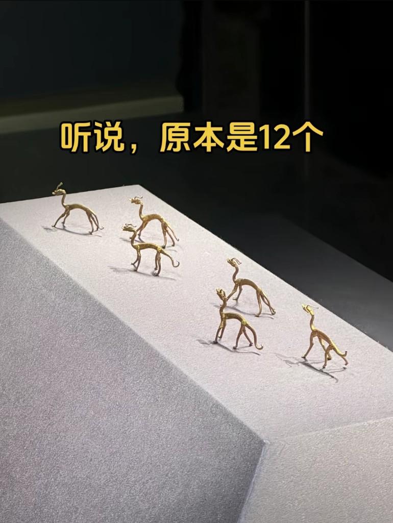 加上影子，刚好12个，没少啊！院长：我拿回家研究一下怎么让他们吃胖点！全国的