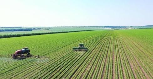 几百亿斤粮食说不要就不要了？数万名官兵和农民辛苦开垦半个世纪，能养活一亿人的中国