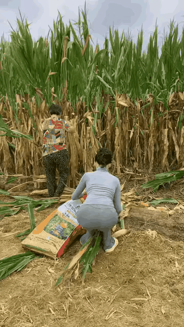 说实话吧你就不是真心去干活的