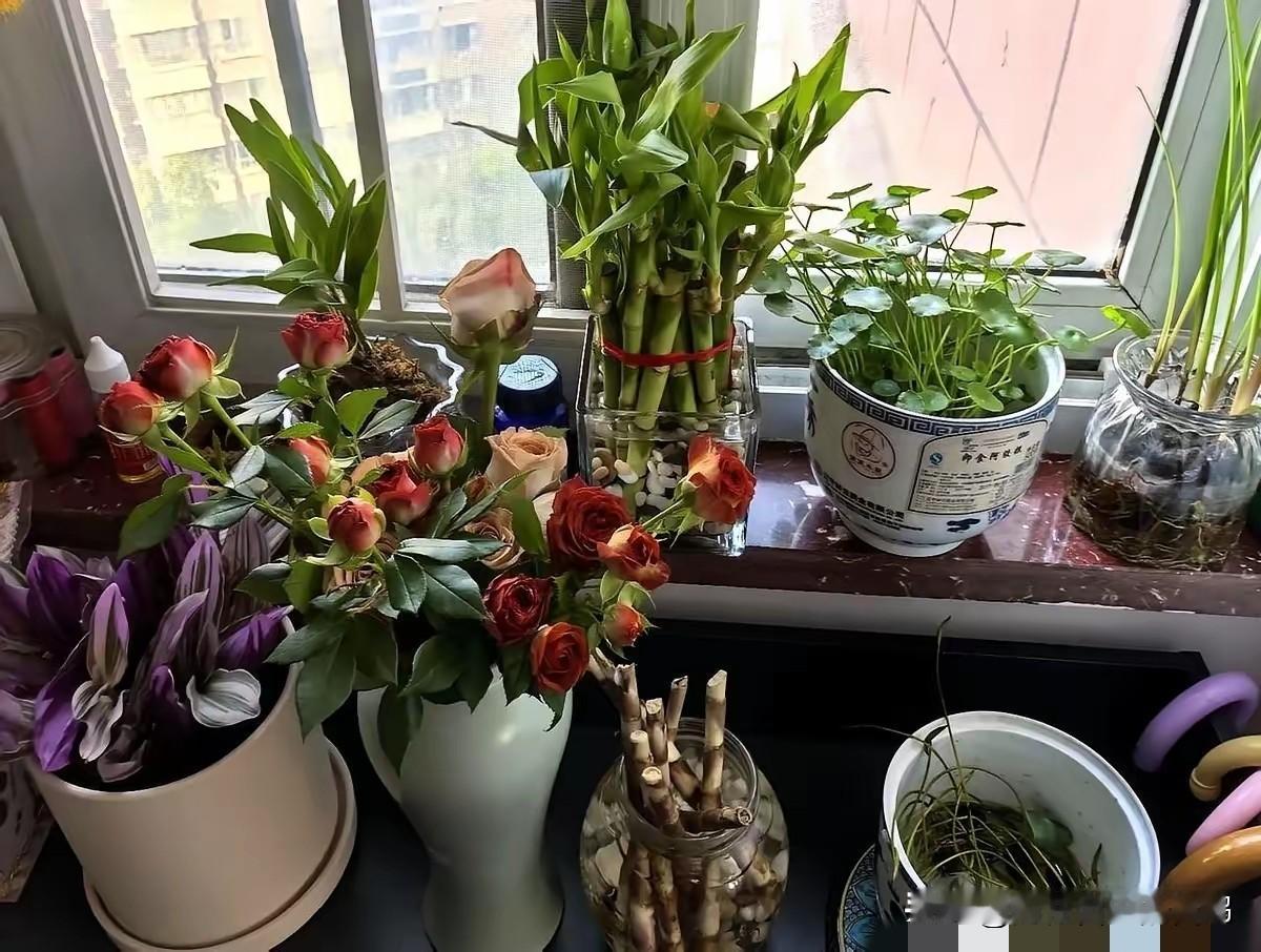 怎么也想不到。我朋友，认识一个富婆，因为听了某位经济学家的建议，第二天花了三百