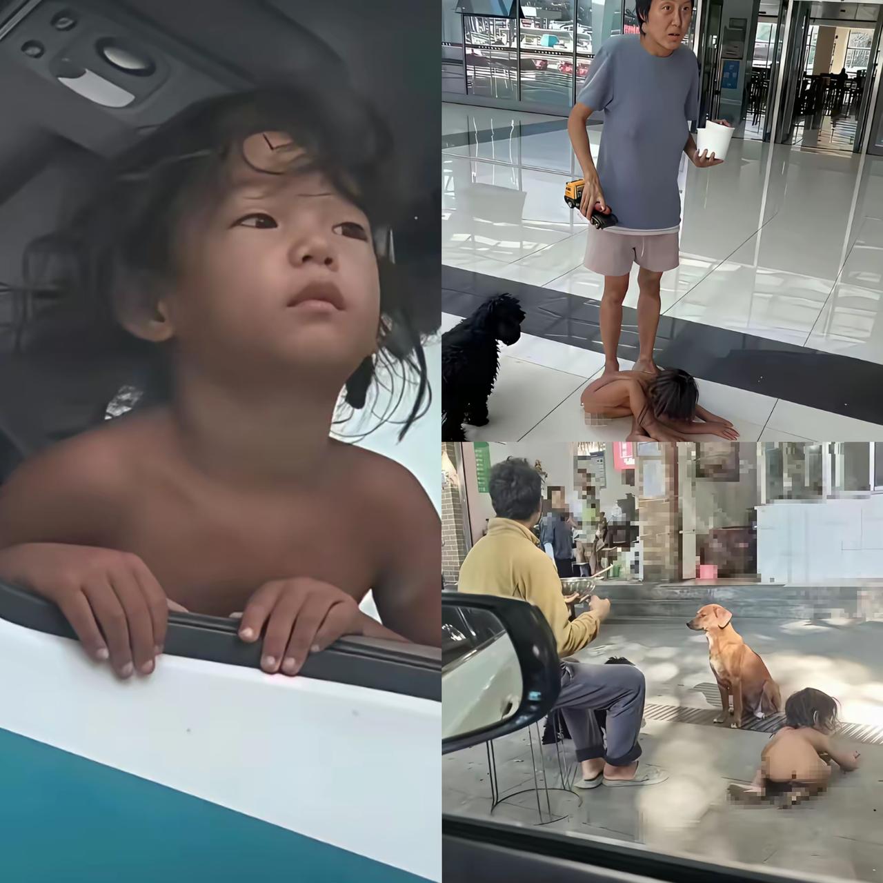 那个被叫做“野人小孩”的孩子，哪是什么没人管的娃！他明明有权知道自己是个活生