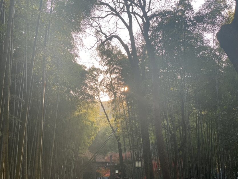 今日新橙友亮相: 我是心理咨询师, 我最开心的事是看到孩子的潜能激发出来了