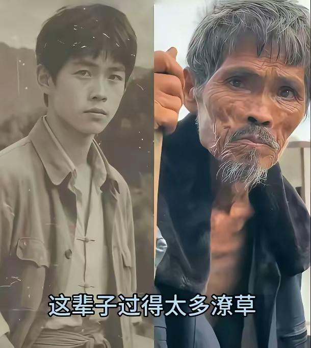有什么感悟？