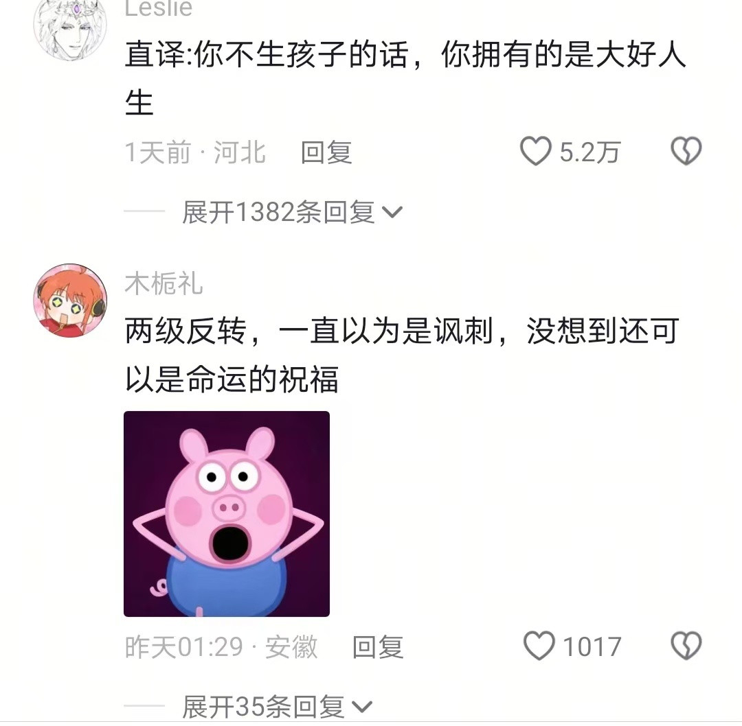 “你不生有的是人生”里的人生是一个名词