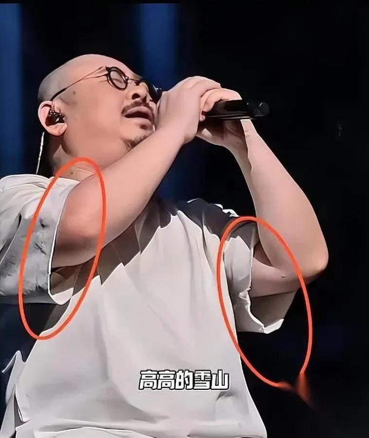 刀郎又被围攻？只因他不是“自己人”。那句“骂叶赫那拉不行，骂刀郎零成本”