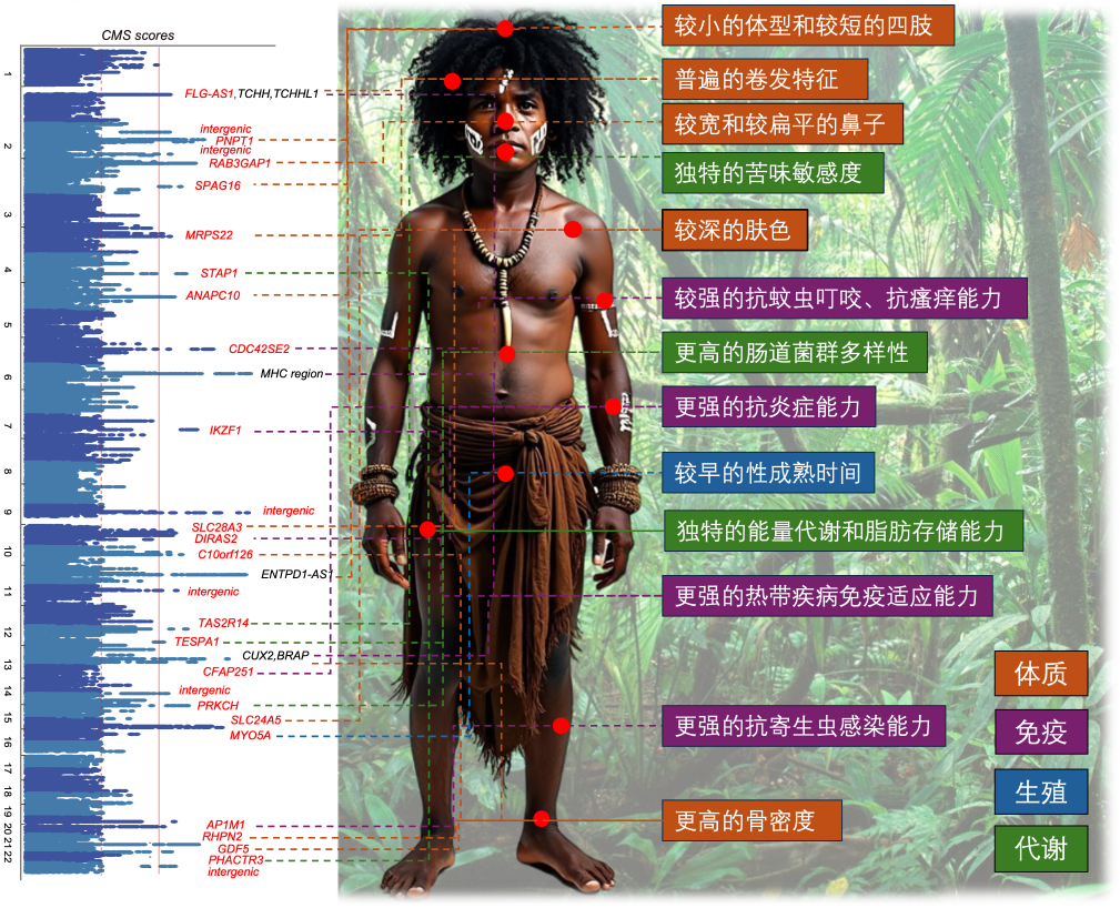 中国科学家牵头, 这一人群基因组被破译!