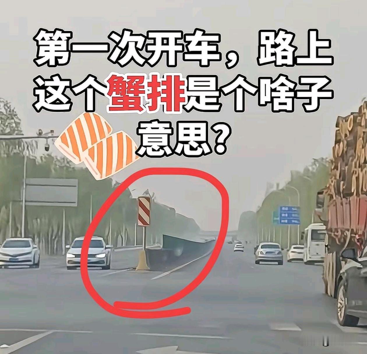 新手上路这个蟹排怎么解释
