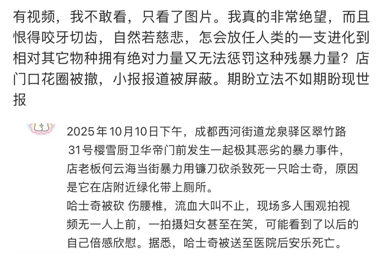 官方调查结果：当日14时40分，成都龙泉驿一无主中型犬只进入翠竹路一商铺内撕咬店