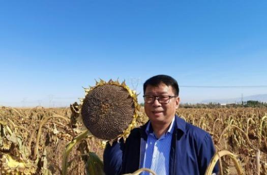 我国工程界大乌龙事件！本来是想在沙漠种小麦保证产量，谁料阴差阳错解决世界难题，有