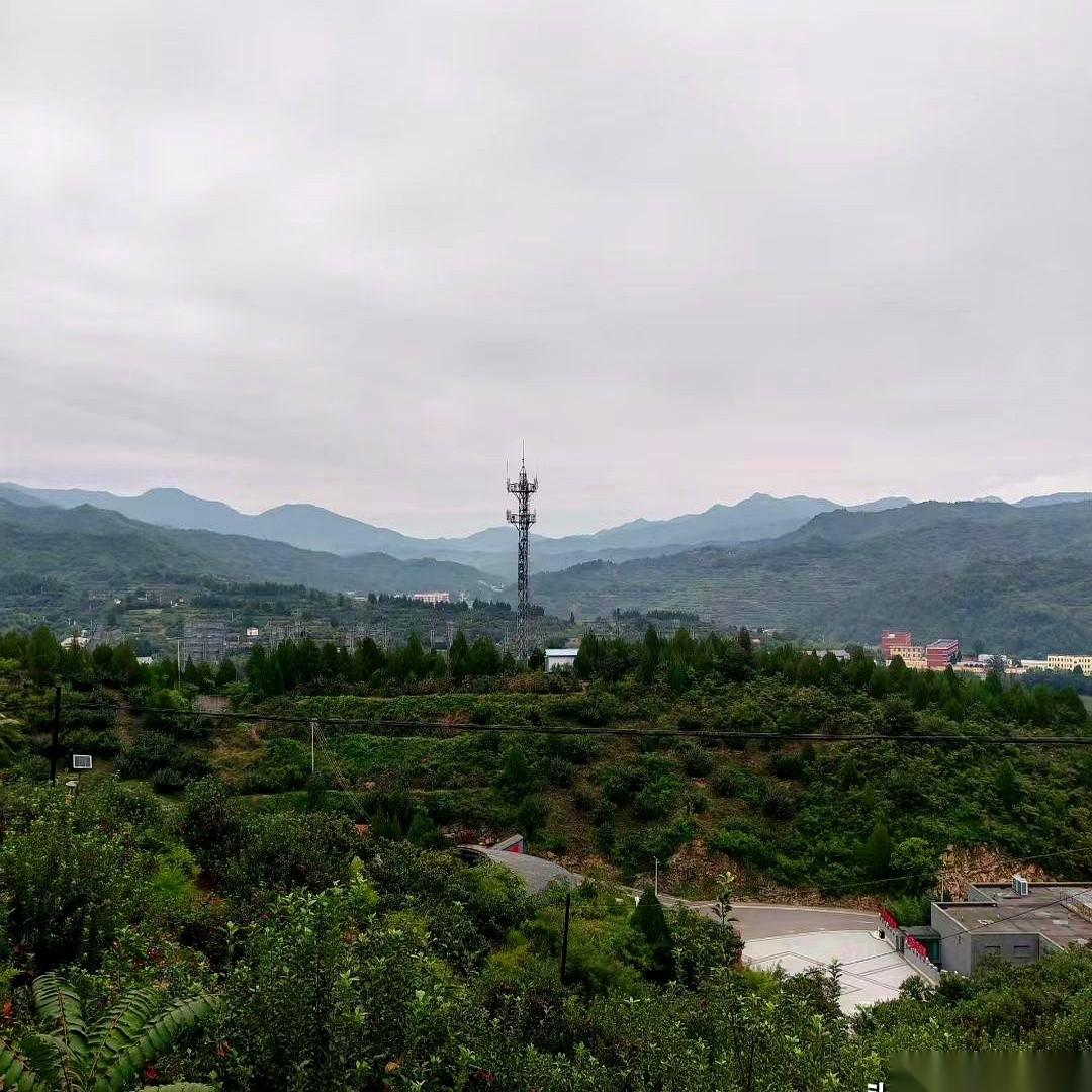 昨天碰见我那侄子，魂都丢了半个。34岁，从手握实权的乡镇二把手，调去县交通局当