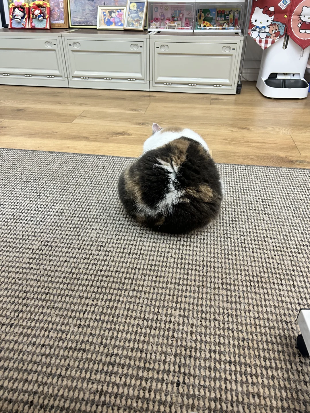 孩子不爱拍照，每次只能偷拍