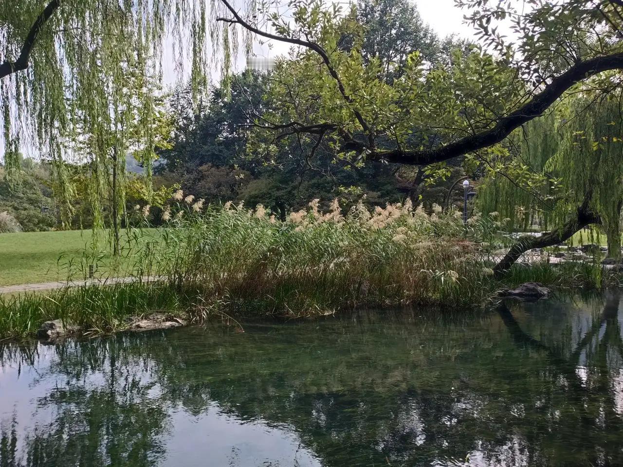 杭州太子湾公园风景优美，对面就是西湖和雷峰塔。传说此地曾是南宋太子墓地，故有太子