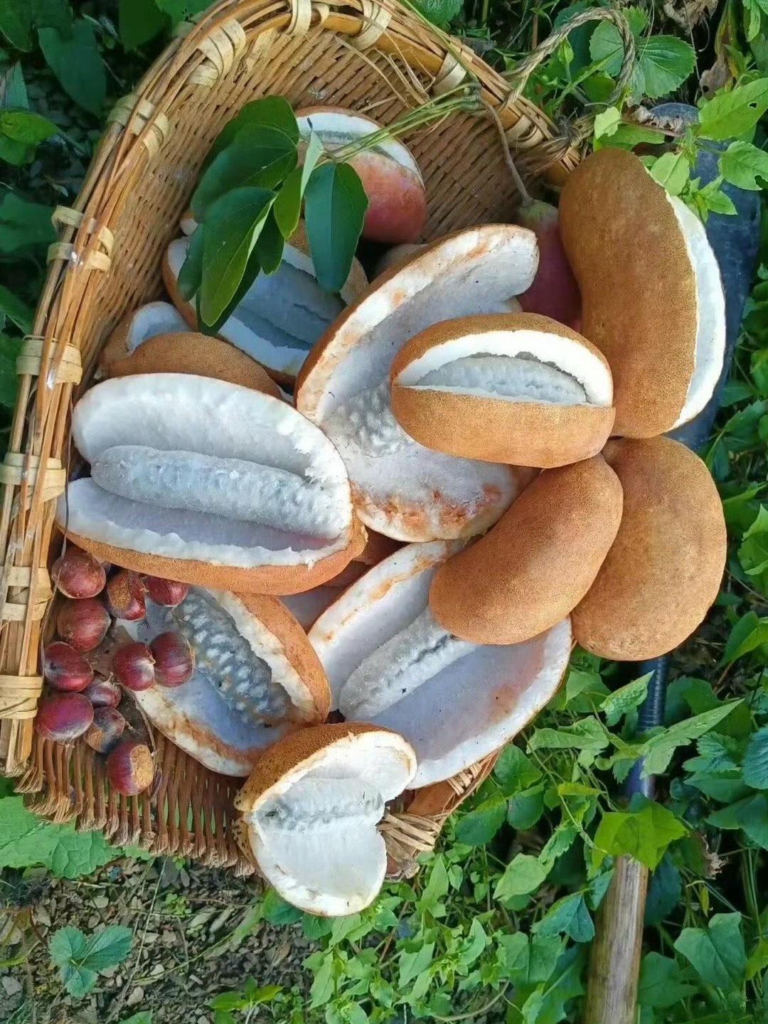 村里面能治愈一切烦恼