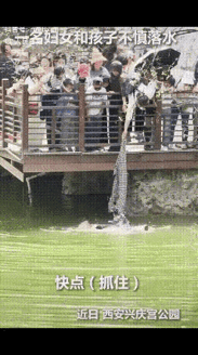 “上人民日报了！”近日，陕西西安兴庆宫公园内，一名男孩不慎落入水中中，其母亲见状