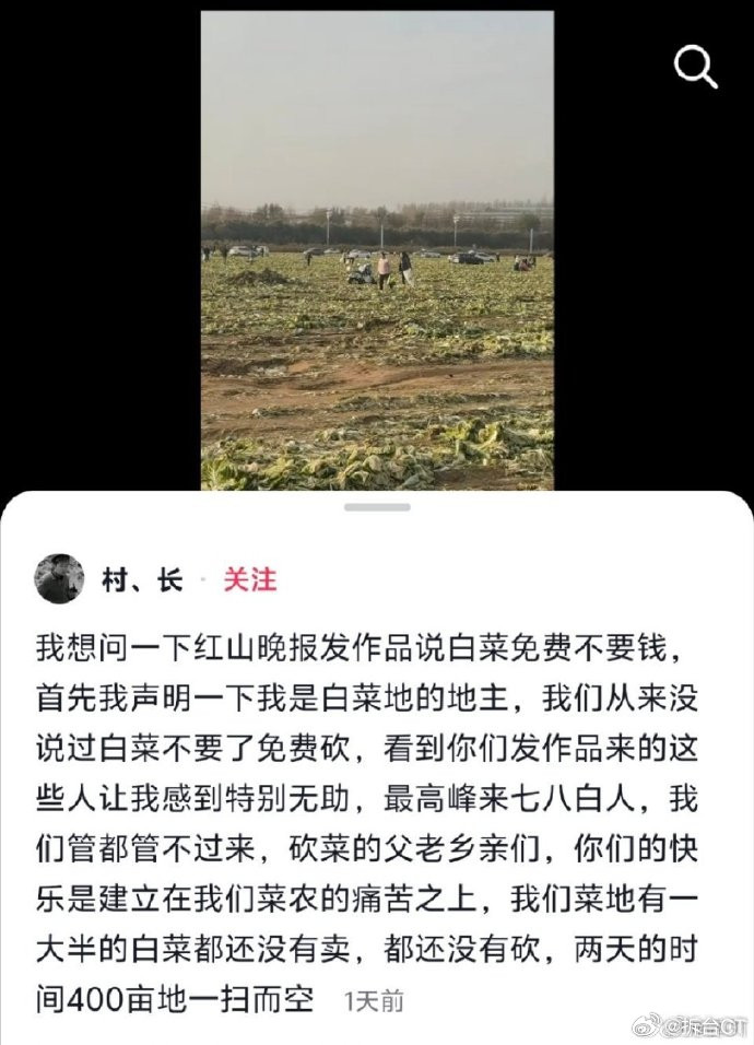 “不能让白菜免费摘的造谣者跑了。”极目新闻的这条评论，整体来看还算中肯。这则谣言