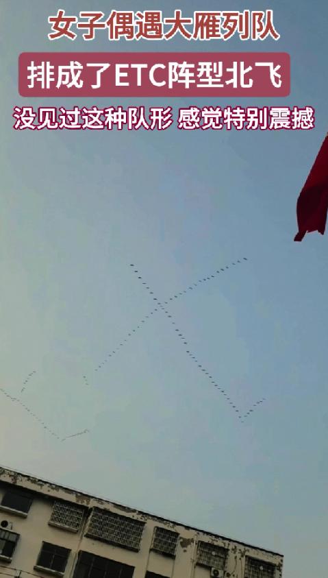 解释不清了，河南，一女子接孩子放学，发现有人指着天空，嘴里在说些什么，女子抬头一