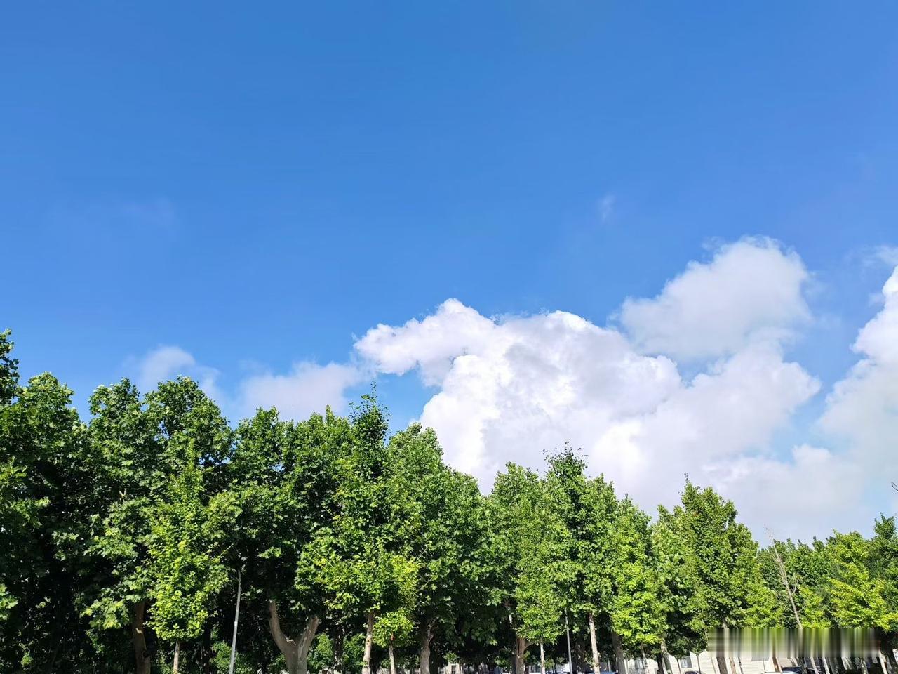 很多人以为只要交够社保年限，到老就能踏踏实实安享晚年，真正等到退休领钱的时候，才