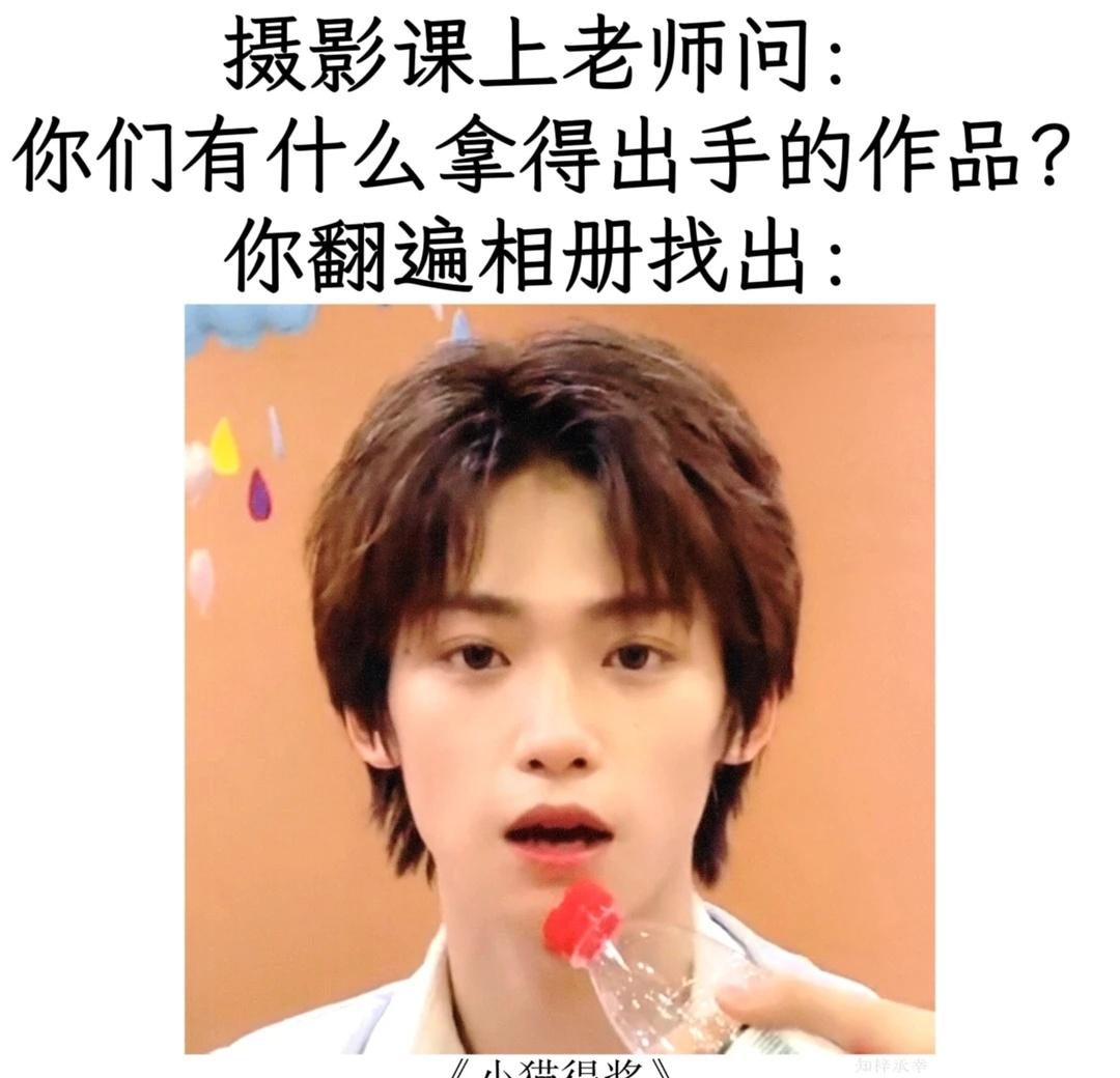 小猫塑梗图，每日素材取决于我的截图有什么梓渝梗图小猫塑