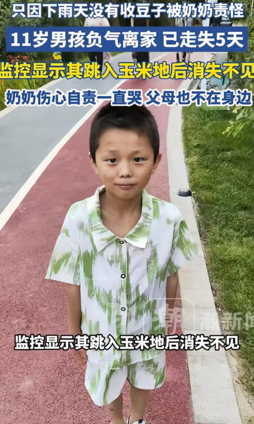 担心的事情还是发生了！云南昭通，11岁男孩因为忘了帮奶奶收豆子，被奶奶痛骂