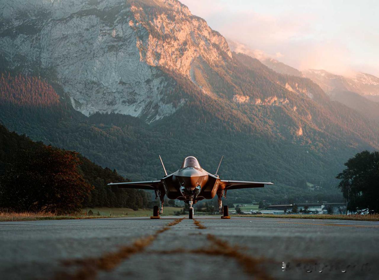 🇨🇭瑞士担忧F-35战斗机的安全漏洞瑞士就购买36架美国洛克希德·马丁公