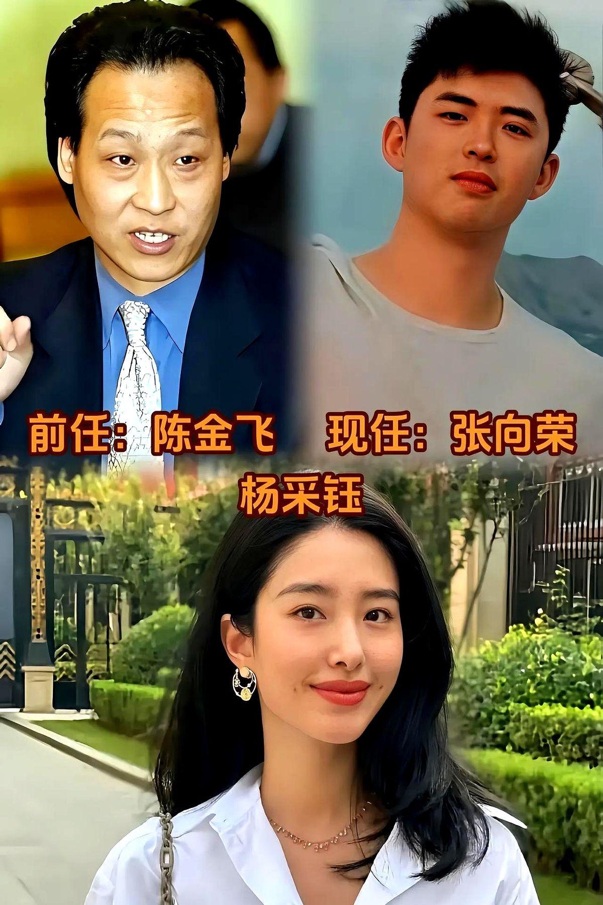 有些女神选对象的眼光，真让人摸不着头脑。杨采钰酒窝那么出众，前任陈金飞年纪大，现