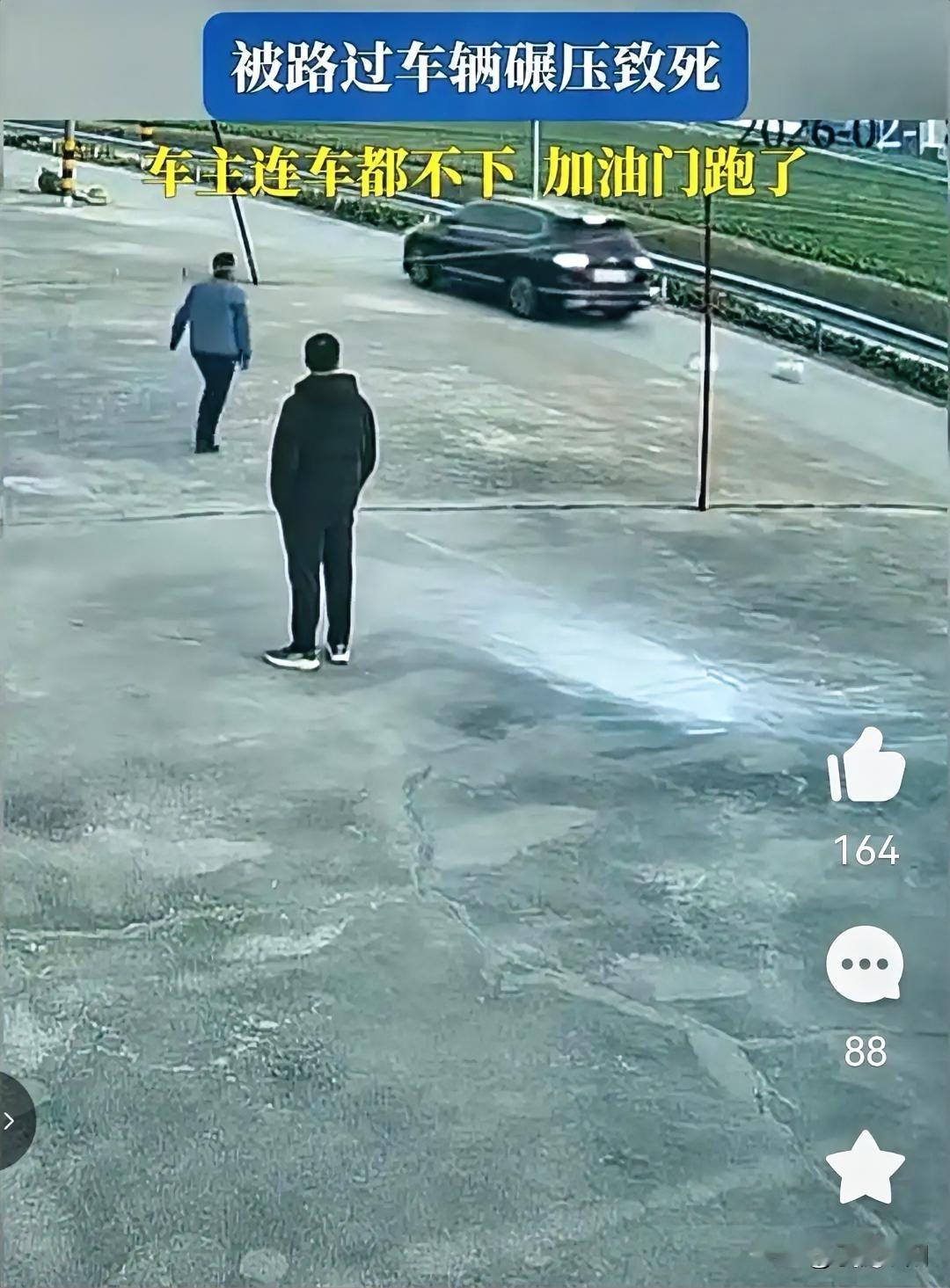 虽然我没有生活在农村，也没有养猫狗，但是看到有人开车把别人的宠物撞死了不赔钱也不