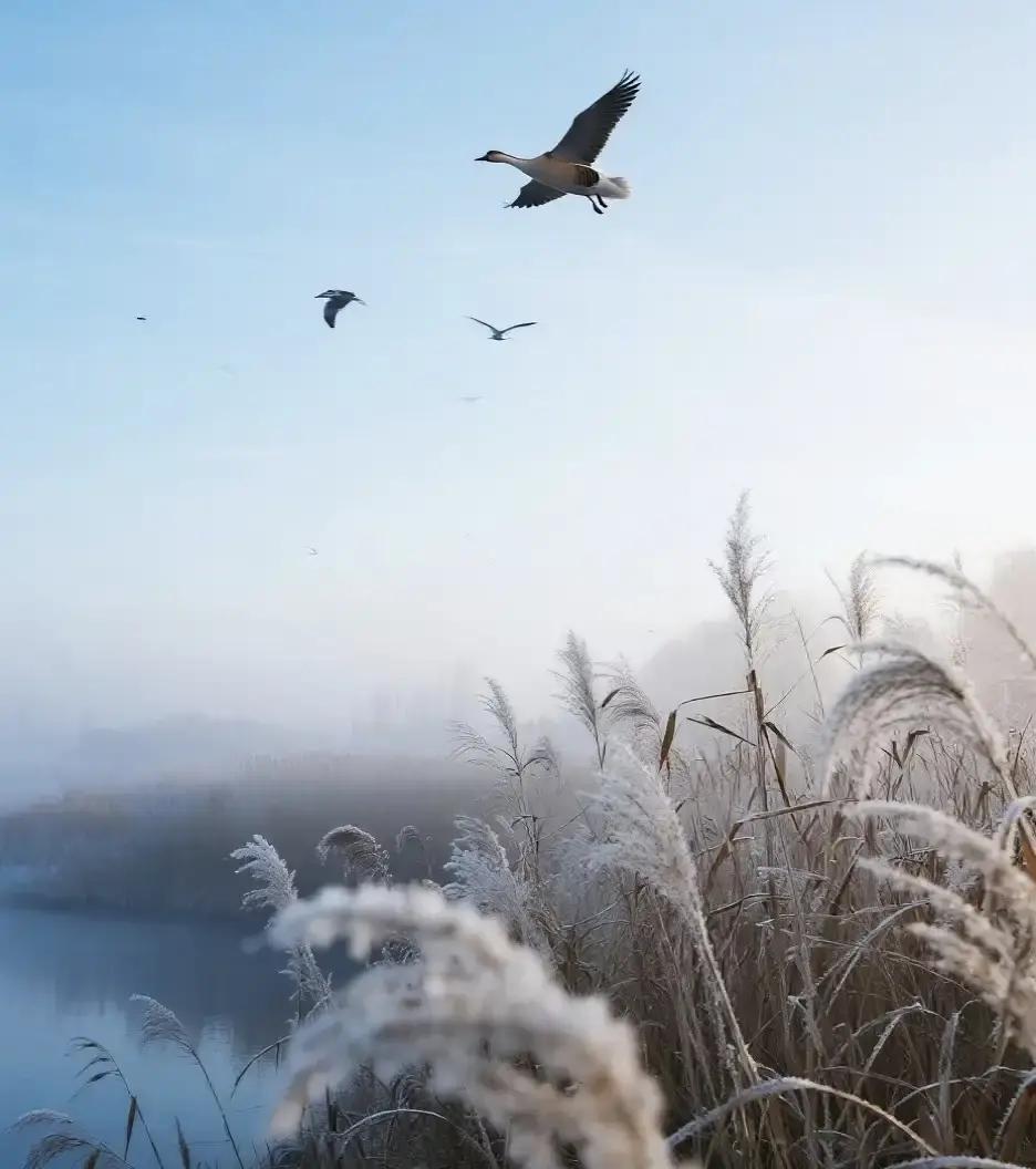 一已婚女人嫌家里冷得像冰窖，丈夫回家只刷手机，她憋得慌，跑出去参加聚会，碰上另一